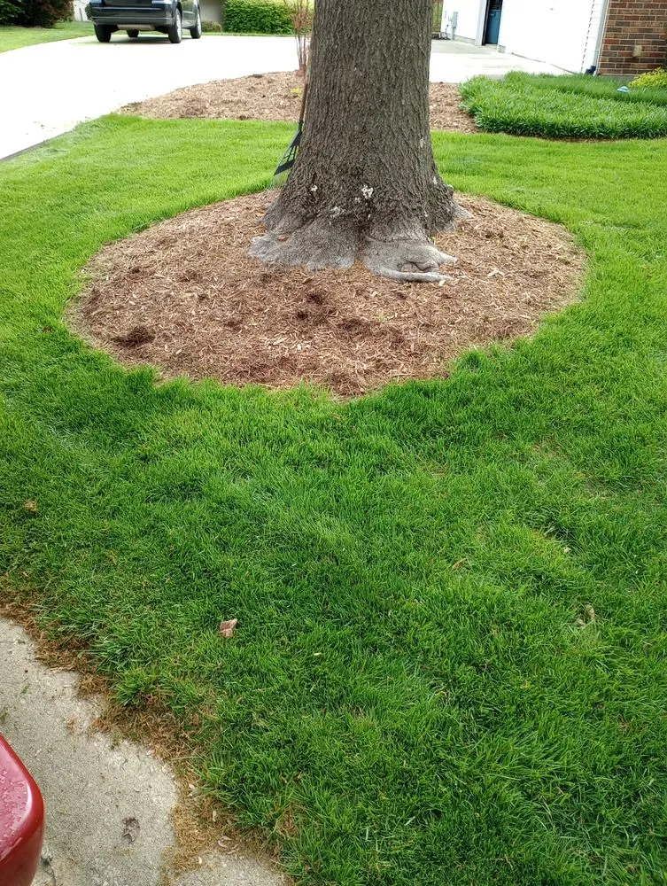 Top-rated yard maintenance for beautiful yards across St. Louis, MO - Pristine Land Management