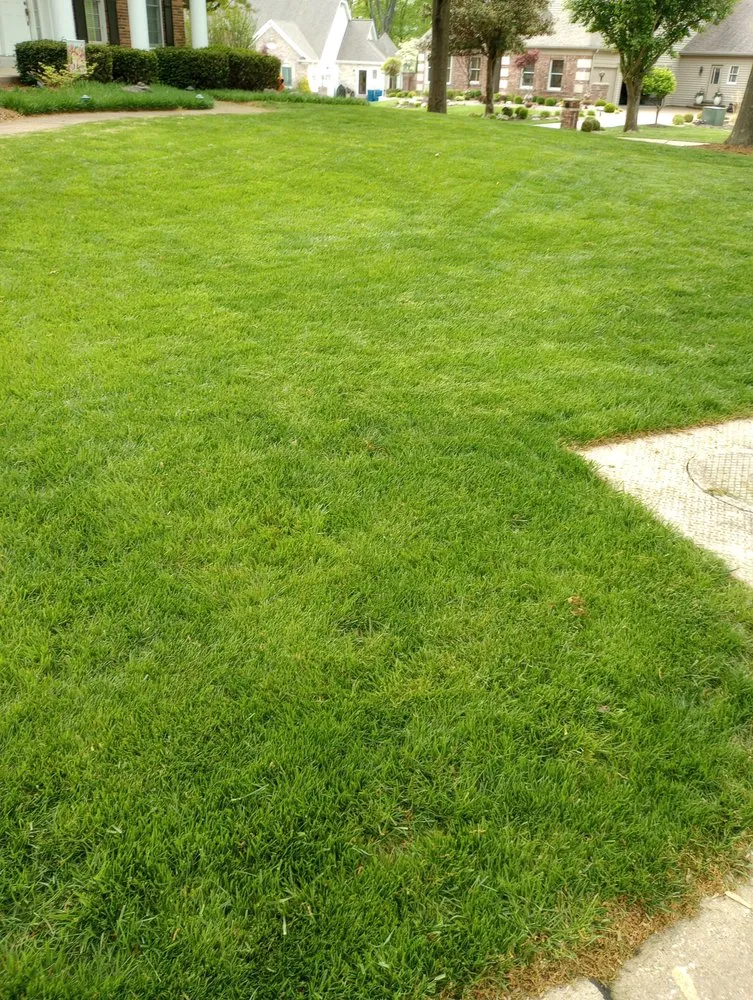 Reliable lawn care service in St. Louis, MO by Pristine Land Management