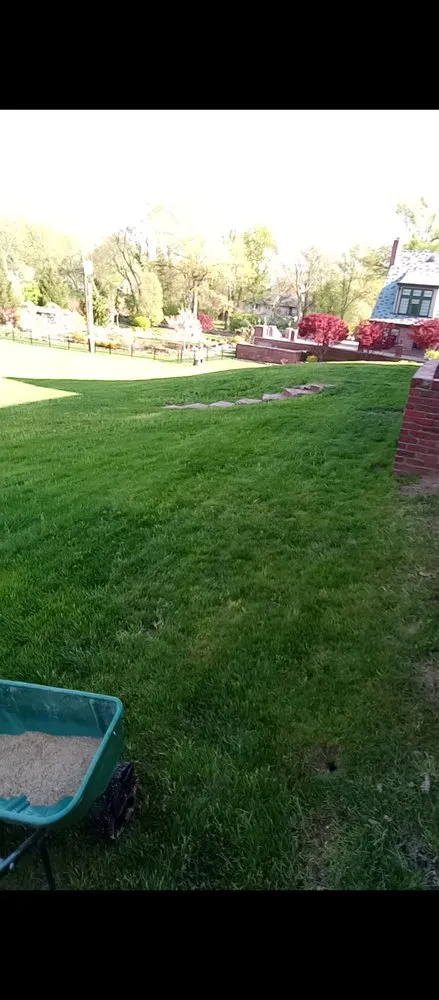 Affordable yard cleanup service for residential properties in St. Louis, MO by Pristine Land Management