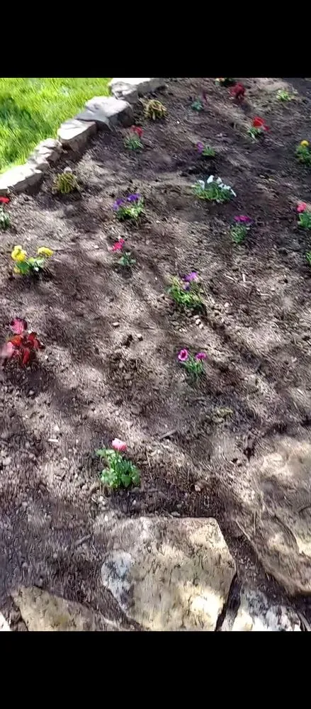 Local lawn mowing service for beautiful yards across St. Louis, MO - Pristine Land Management