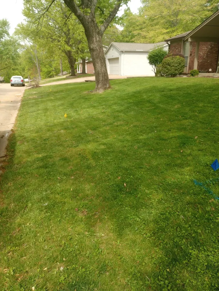 Local yard maintenance experts serving St. Louis, MO - Pristine Land Management