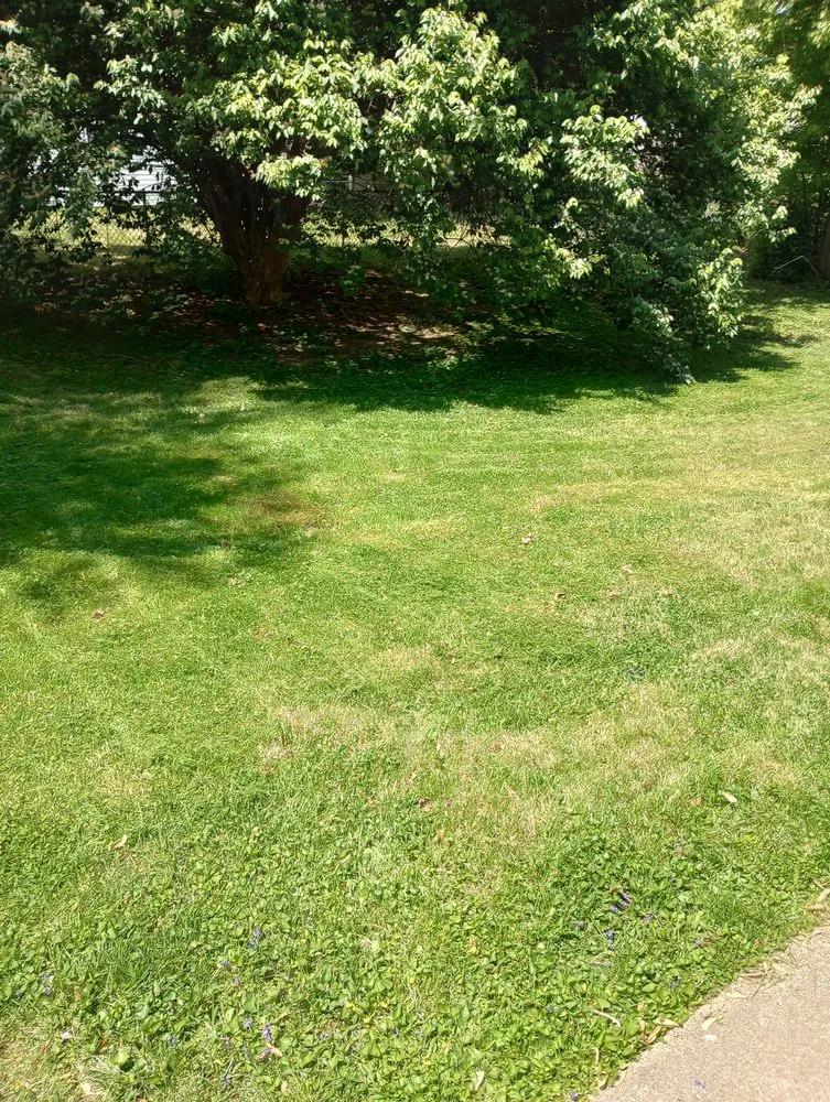 Top-rated landscape design experts serving St. Louis, MO - Pristine Land Management