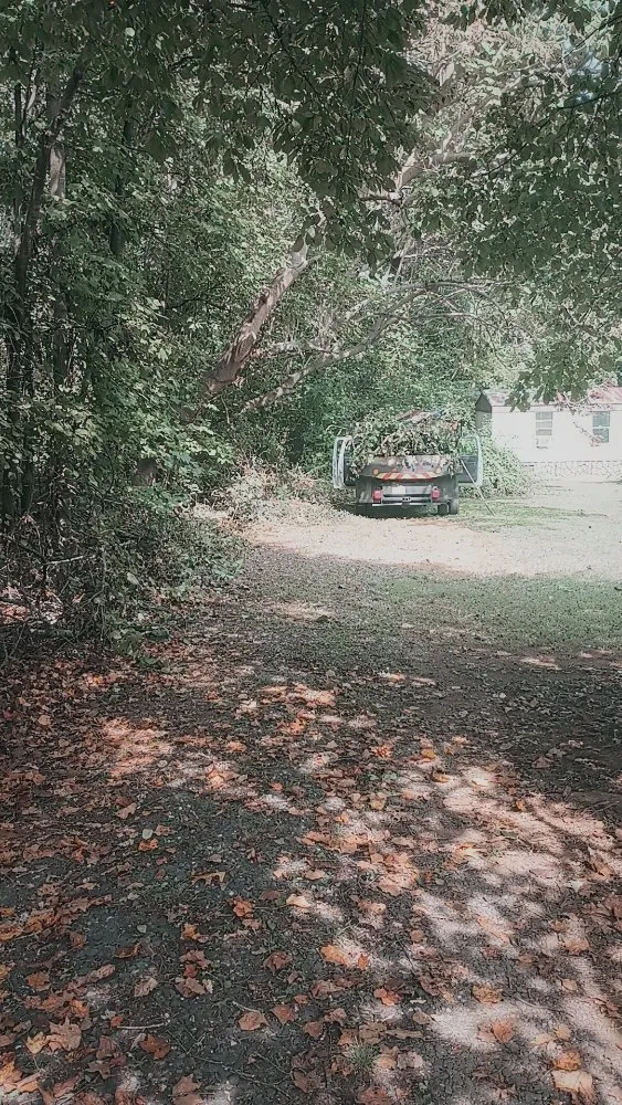 Expert lawn care service for residential properties in Dillwyn, VA by Pristine Land Worx