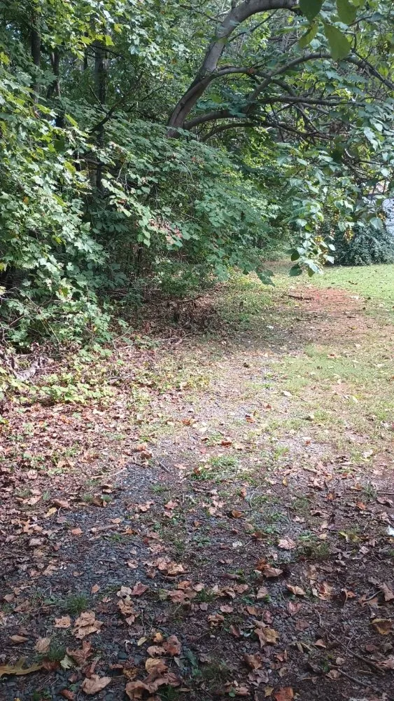 Professional residential landscaping in Dillwyn, VA by Pristine Land Worx