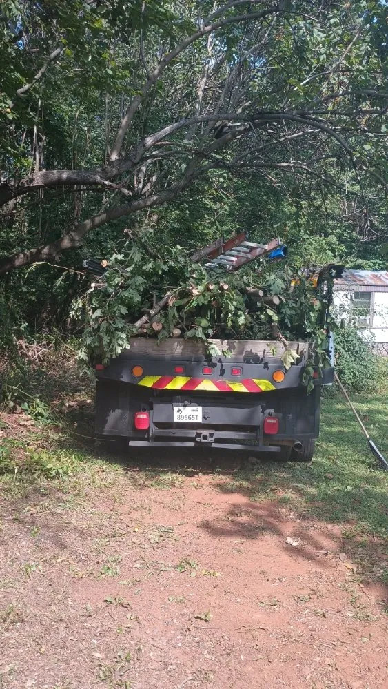 Top-rated landscape design for year-round maintenance in Dillwyn, VA by Pristine Land Worx