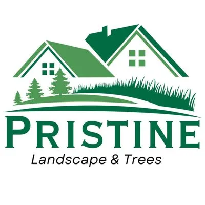 Pristine Landscape & Trees