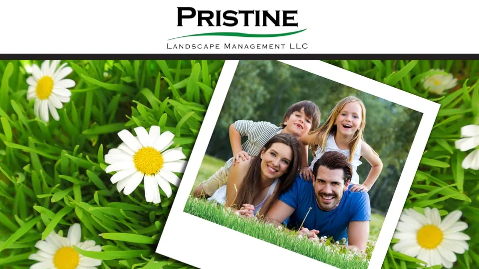 Professional outdoor landscaping in Brighton, MI - Pristine Landscape Management
