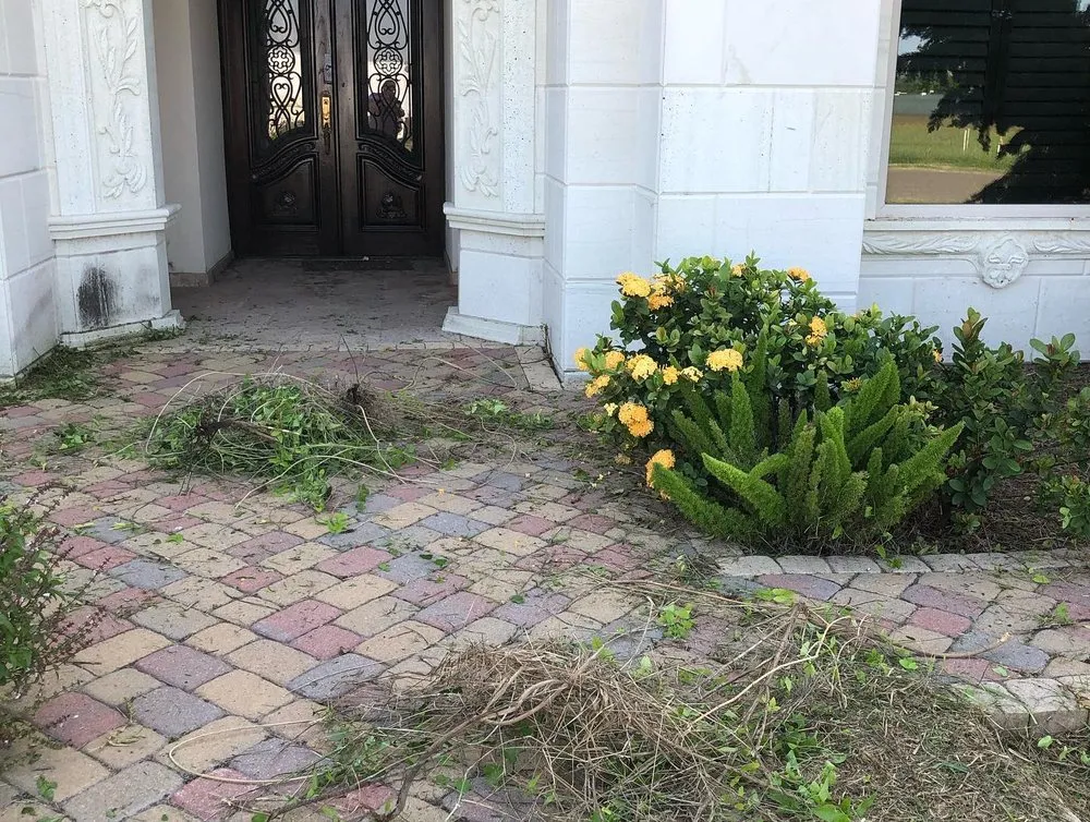 Affordable garden landscaping in Mission, TX by Pristine Landscape