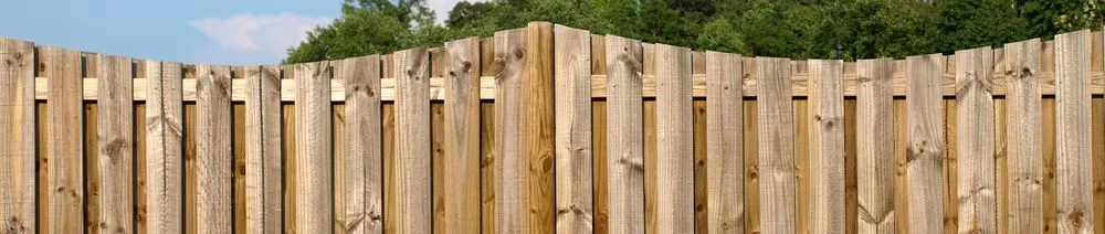 Professional landscape design in Mission, TX - Pristine Landscape