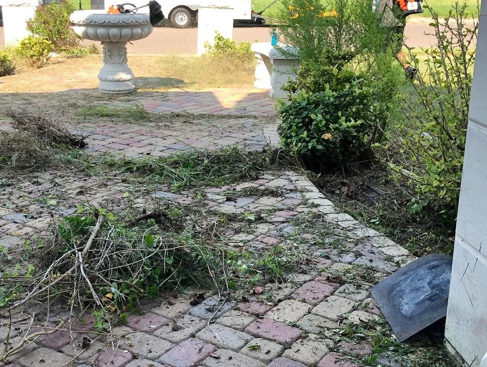 Expert residential landscaping in Mission, TX by Pristine Landscape