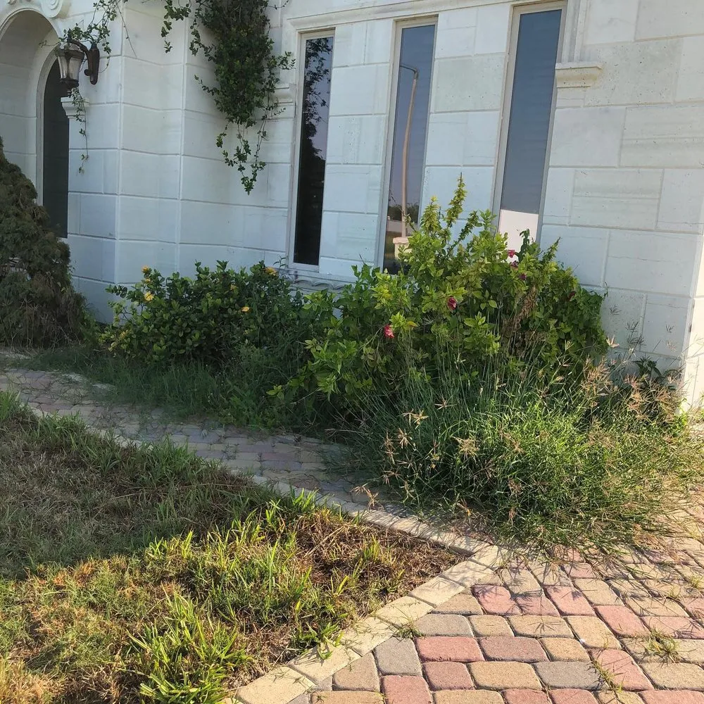 Reliable lawn care service for outdoor upgrades in Mission, TX by Pristine Landscape