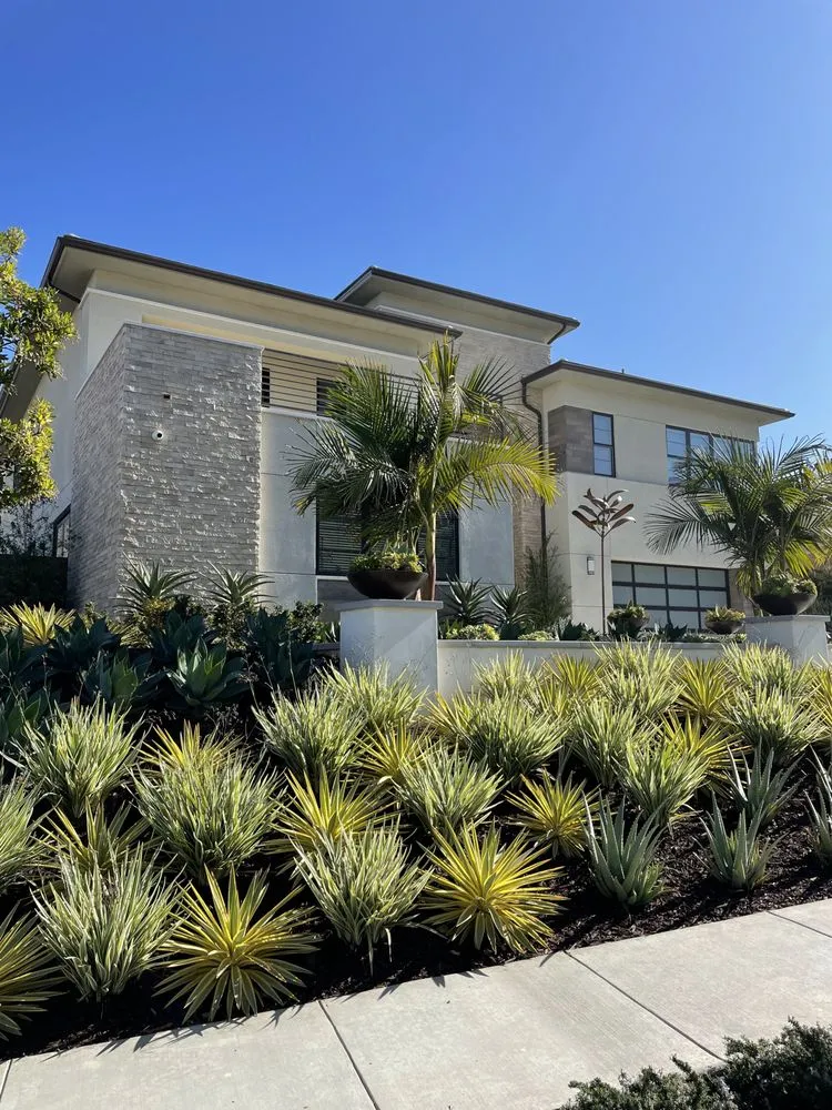 Local landscape installation in Lake Elsinore, CA - Pristine Landscapes