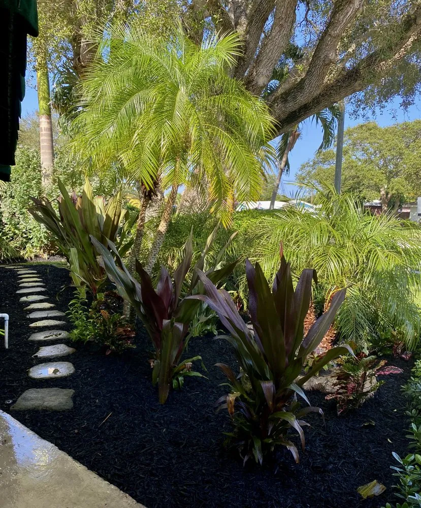 Local yard cleanup service in Parkland, FL by Pristine Landscapes
