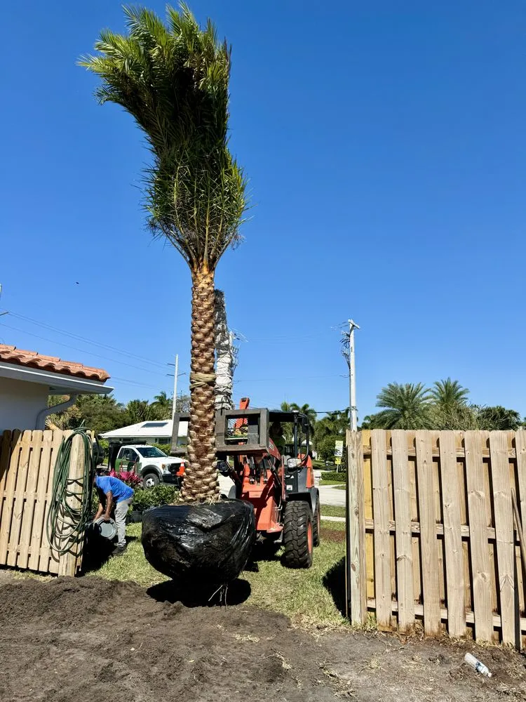 Local yard maintenance in Parkland, FL by Pristine Landscapes