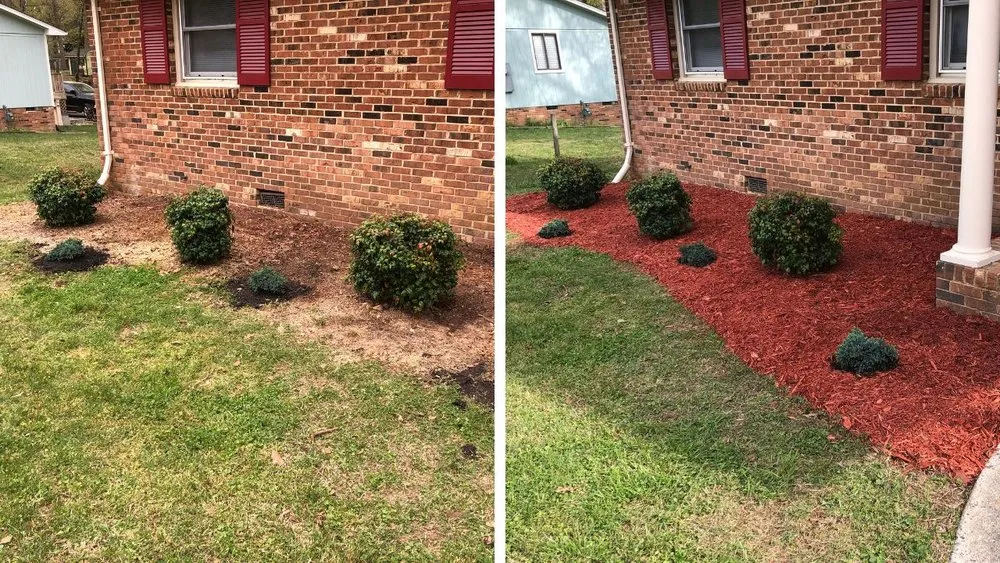 Affordable yard cleanup service in Durham, NC by Pristine Landscaping