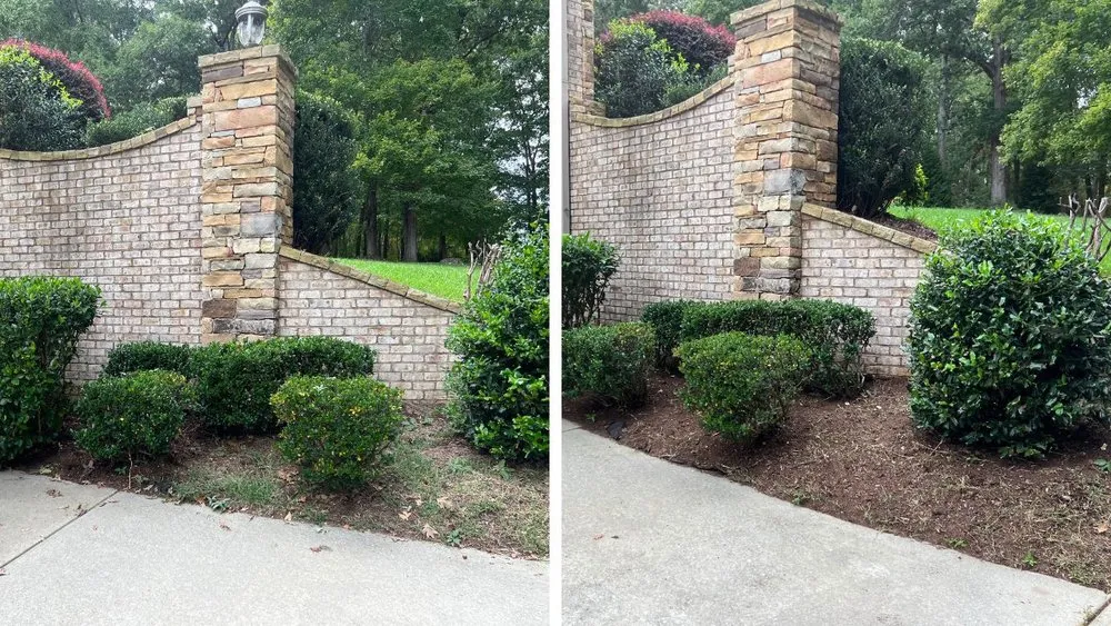 Reliable yard cleanup service in Durham, NC - Pristine Landscaping
