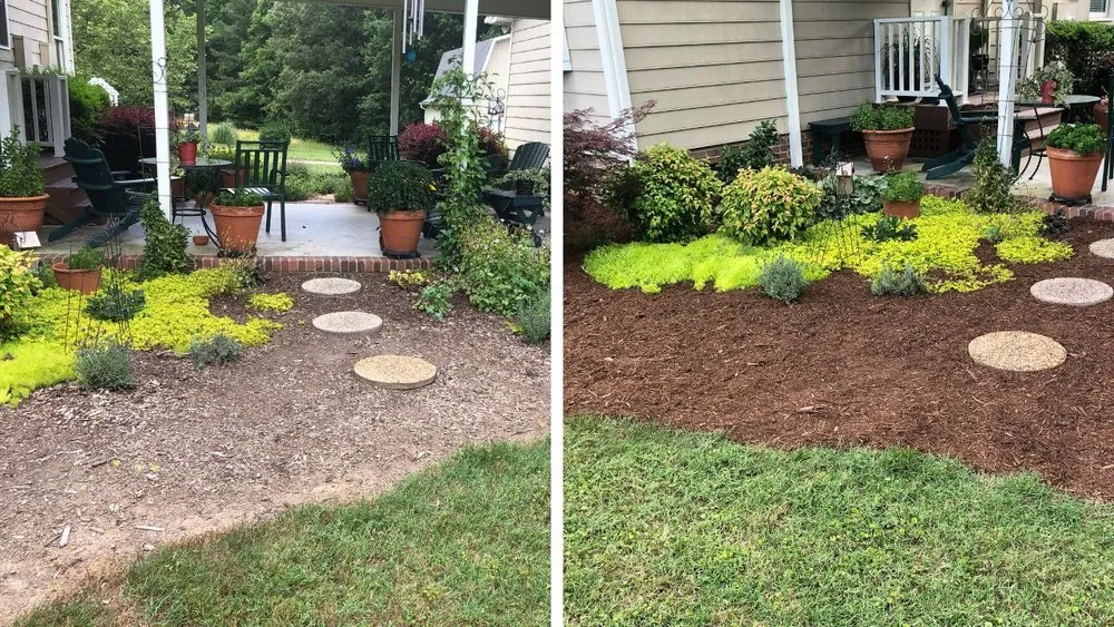 Professional yard cleanup service in Durham, NC by Pristine Landscaping