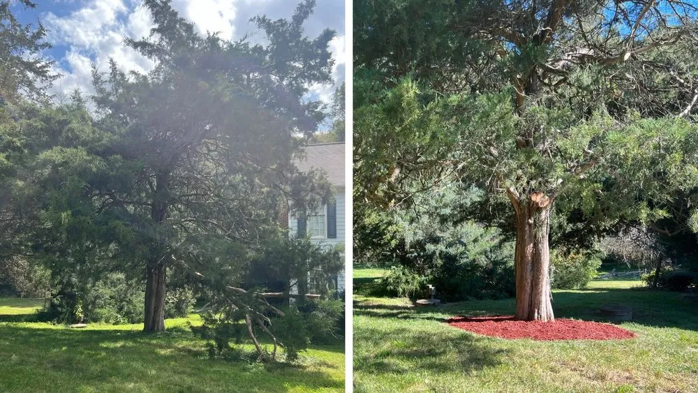 Affordable residential landscaping in Durham, NC by Pristine Landscaping