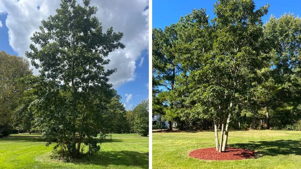 Professional residential landscaping for outdoor upgrades across Durham, NC - Pristine Landscaping