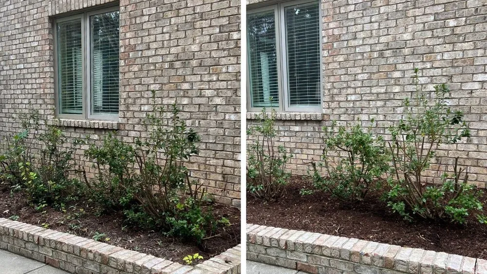 Trusted garden landscaping experts serving Durham, NC - Pristine Landscaping