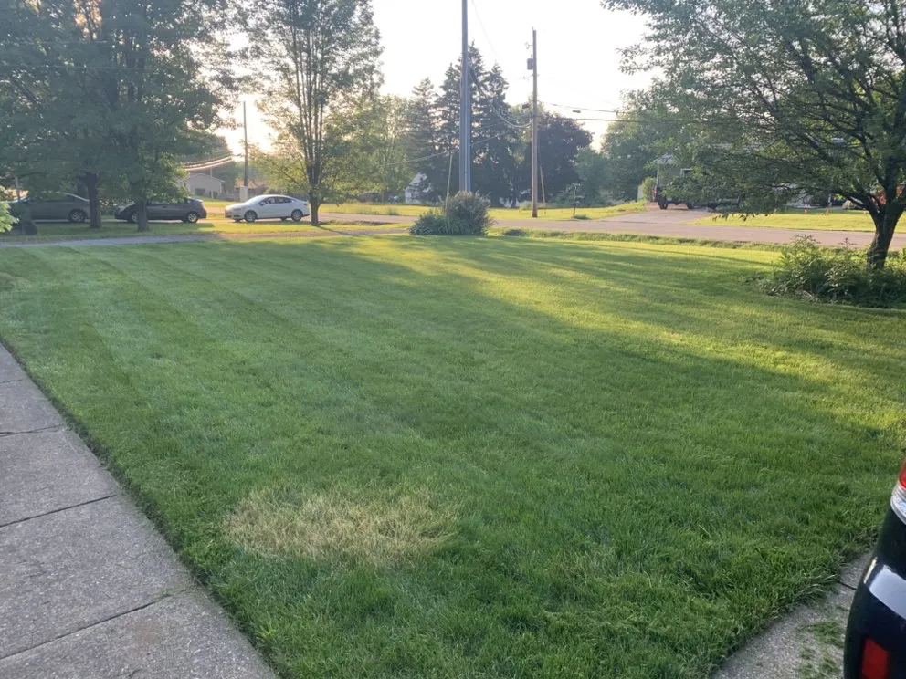 Local landscape design with custom design in Orrville, OH by Pristine Landscaping