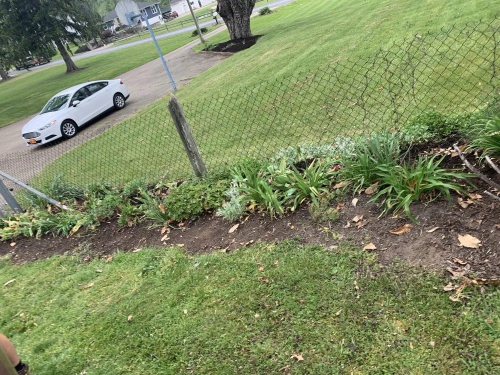 Local yard cleanup service for outdoor upgrades across Orrville, OH - Pristine Landscaping