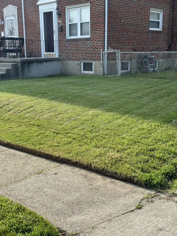 Top-rated landscape installation in Parkville, MD - Pristine Landscaping