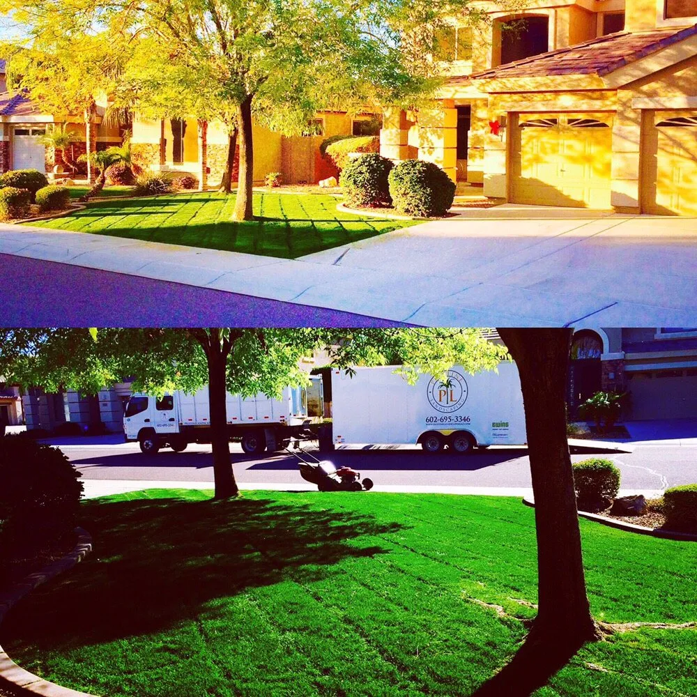 Expert landscaping services for year-round maintenance across Peoria, AZ - Pristine Landscaping