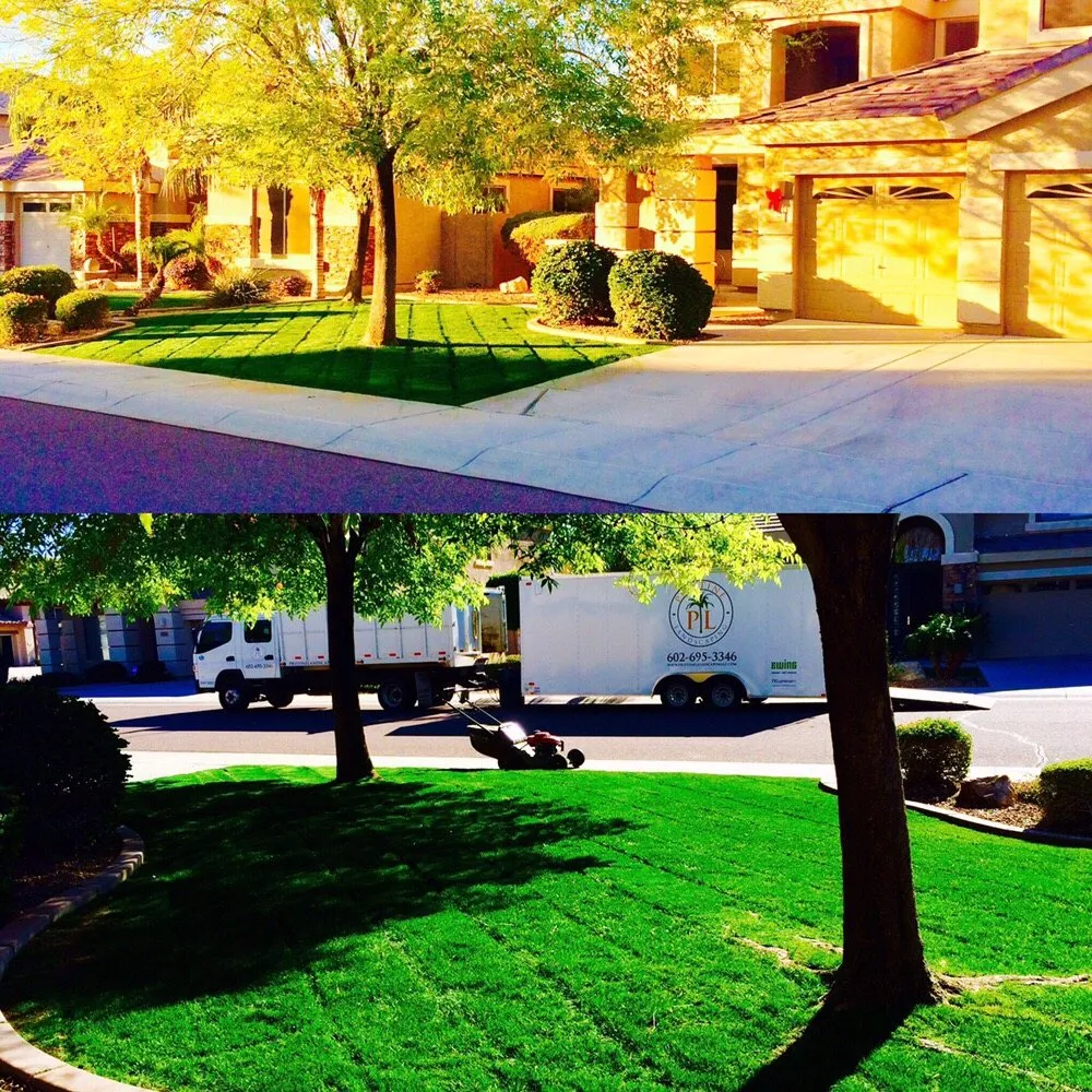 Reliable lawn care service in Peoria, AZ - Pristine Landscaping