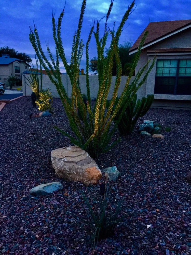 Top-rated outdoor landscaping with custom design across Peoria, AZ - Pristine Landscaping