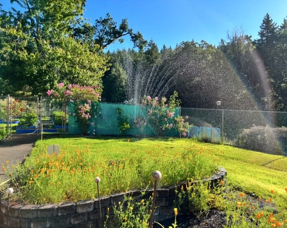 Professional lawn care service experts serving Salem, OR - Pristine Landscaping