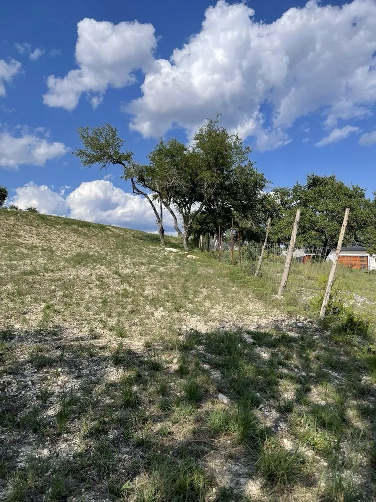 Professional yard maintenance with custom design in San Antonio, TX by Pristine Landscaping