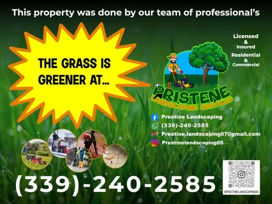 Pristine Landscaping Services Logo