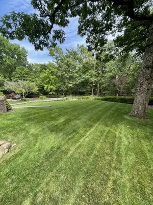 Pristine Landscaping Logo