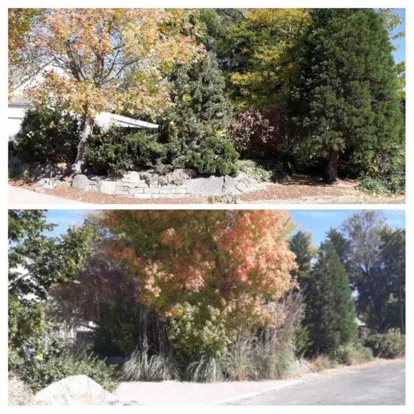 Top-rated landscape installation with custom design across Twin Falls, ID - Pristine Lawn & Landscape