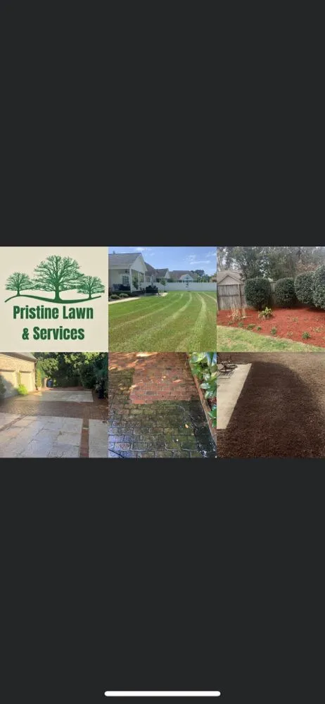 Top-rated residential landscaping in Greenville, NC - Pristine Lawn & Services