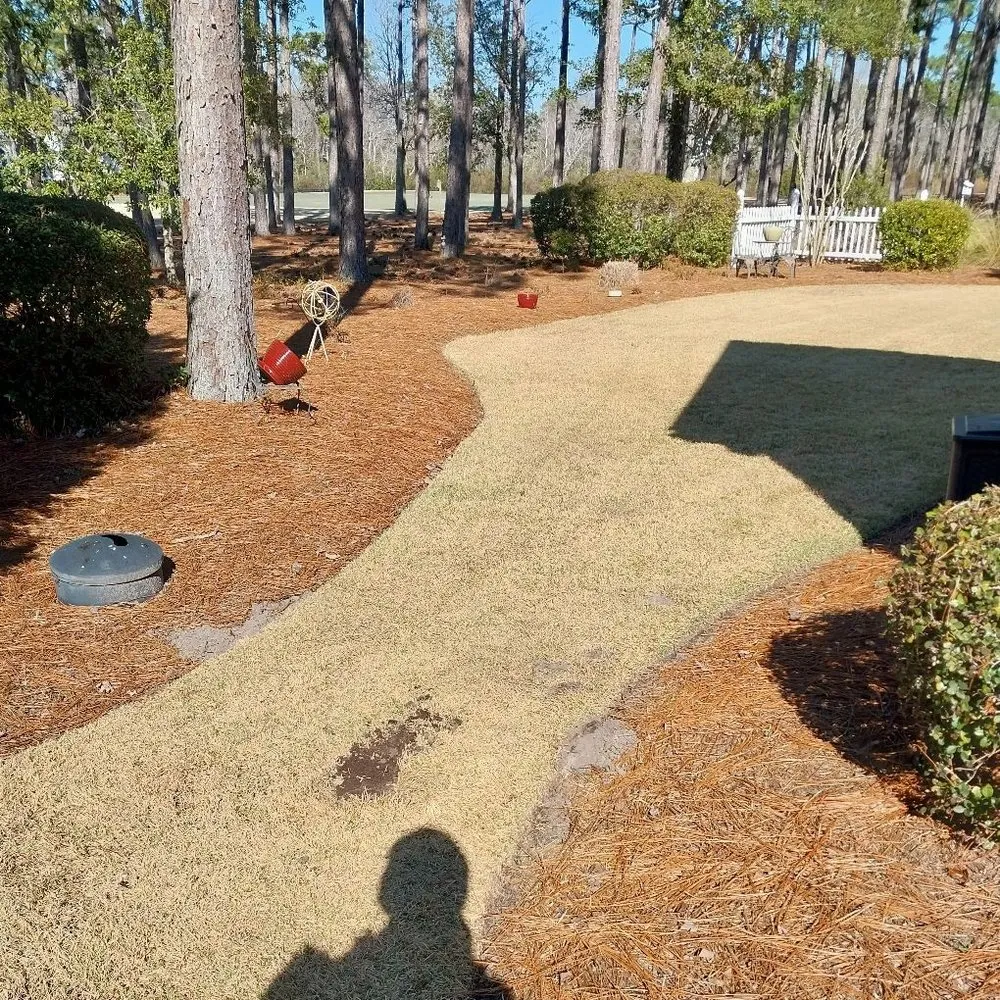 Local landscaping services for year-round maintenance in Bolivia, NC by Pristine Lawn and Maintenance