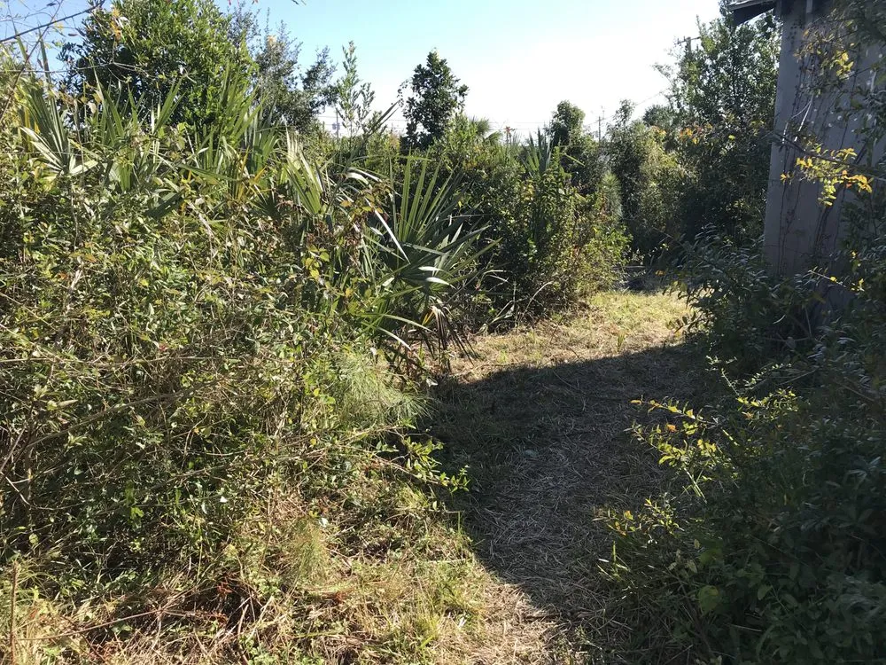 Reliable landscape design experts serving Panama City Beach, FL - Pristine Lawn Care & Creations