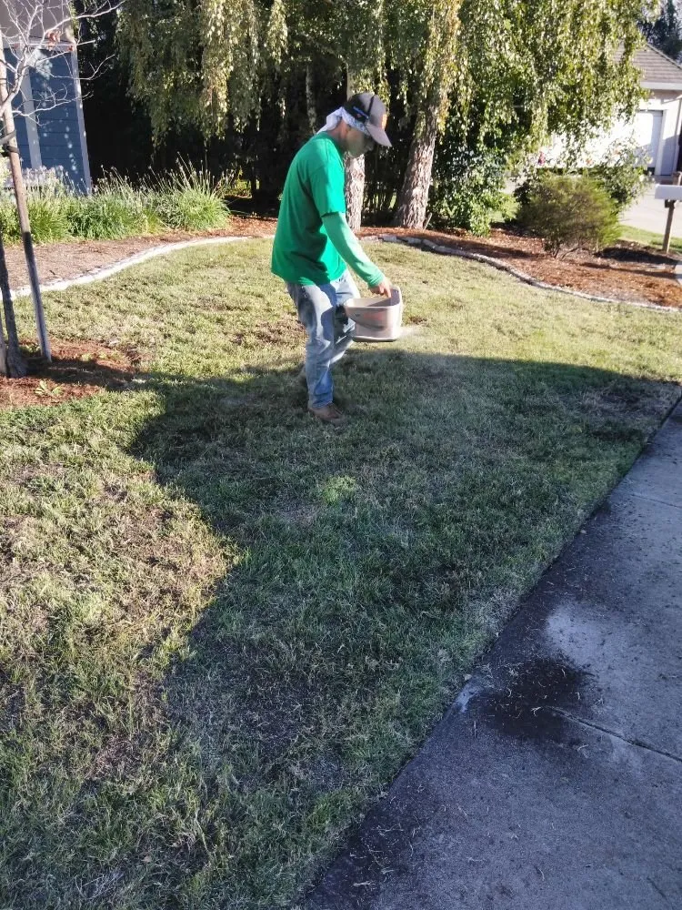 Expert yard cleanup service in Livermore, CA - Pristine Lawn Care & Plus