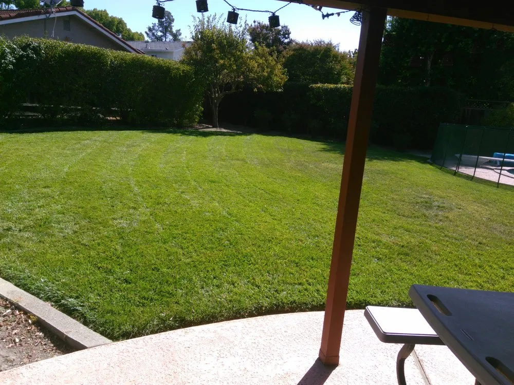 Trusted landscape design for outdoor upgrades in Livermore, CA by Pristine Lawn Care & Plus