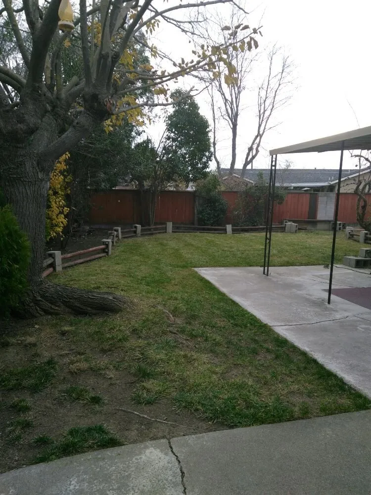 Top-rated landscaping services experts serving Livermore, CA - Pristine Lawn Care & Plus