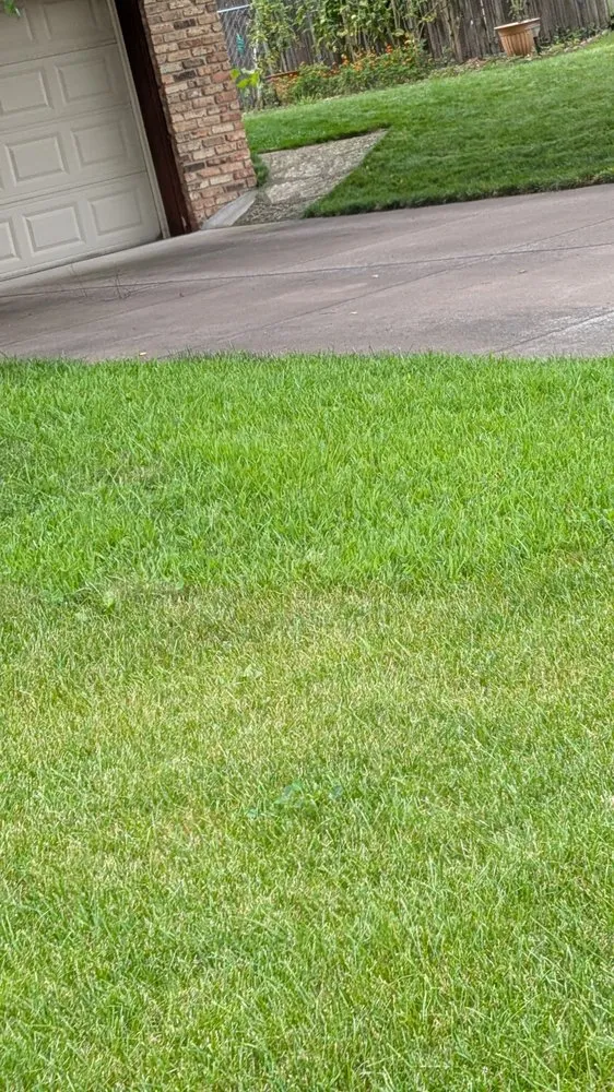 Reliable landscaping services in Blaine, MN by Pristine Lawn Care