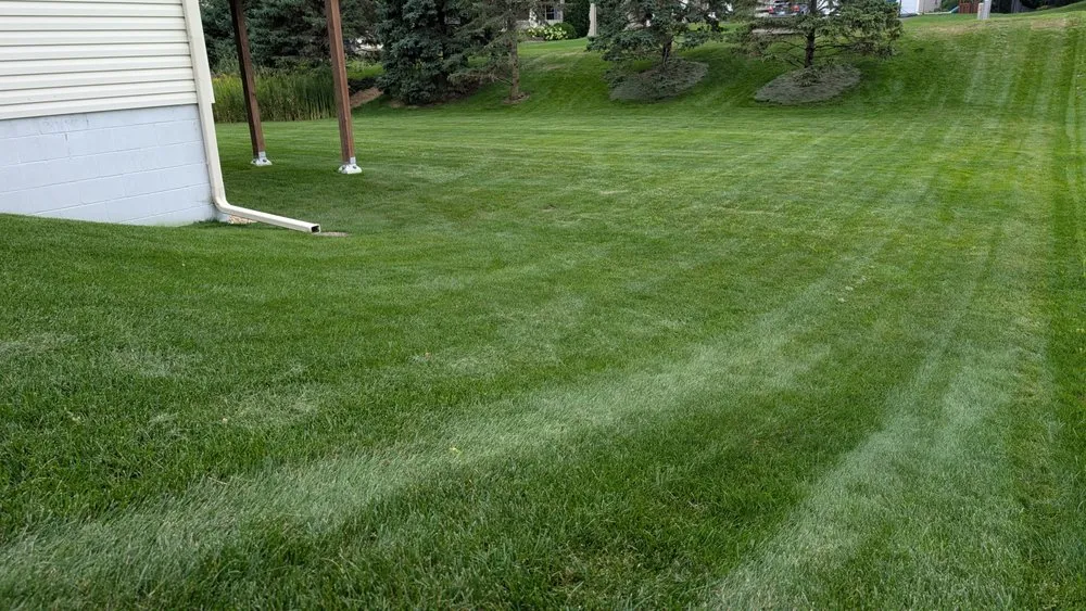 Custom yard maintenance in Blaine, MN - Pristine Lawn Care