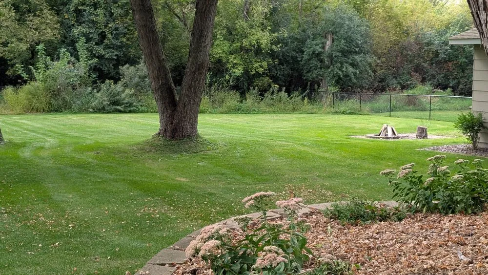 Top-rated residential landscaping in Blaine, MN - Pristine Lawn Care