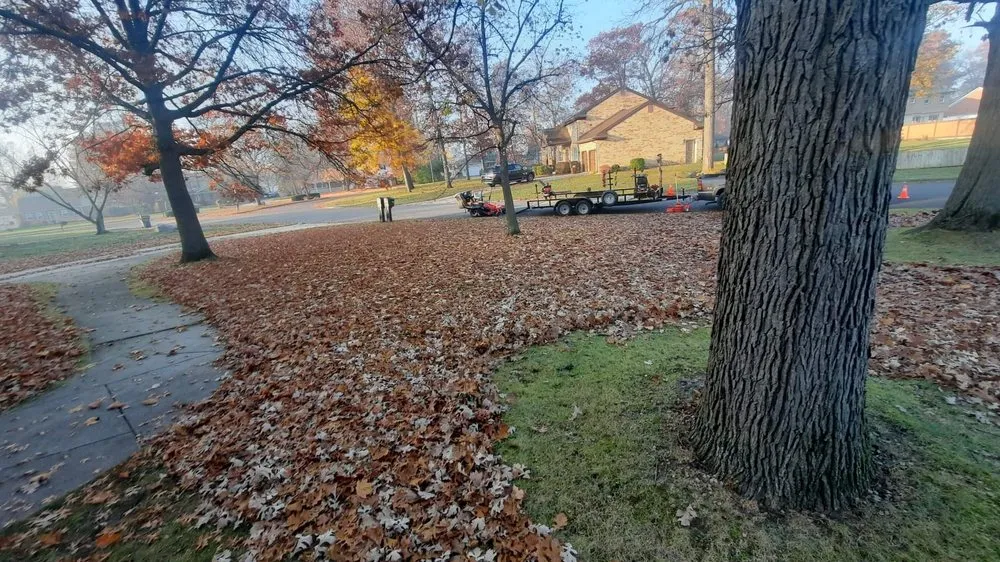 Reliable landscape design in Monroe, MI by Pristine Lawn Care Service