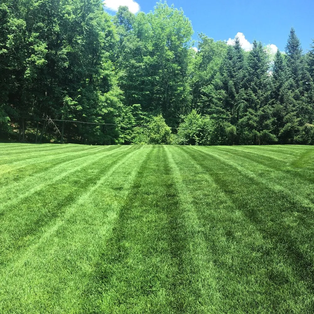 Local lawn care service experts serving Tolland, CT - Pristine Lawn Care