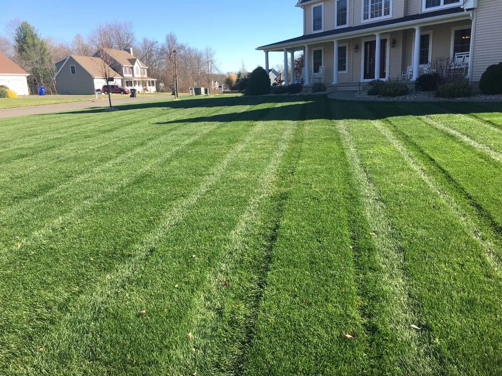 Top-rated yard cleanup service experts serving Tolland, CT - Pristine Lawn Care