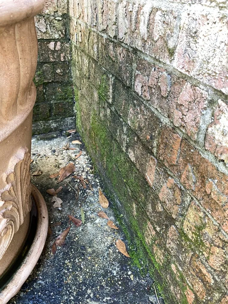 Expert outdoor landscaping with custom design in Vernon, CT by Pristine Lawn Care