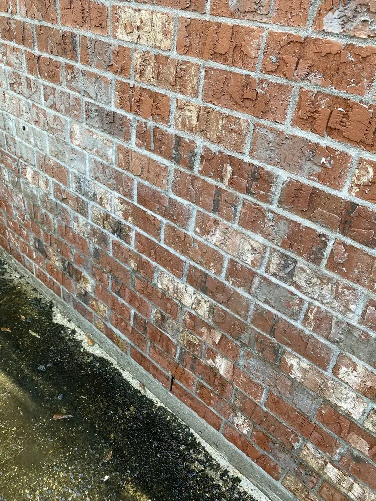 Professional lawn care service experts serving Vernon, CT - Pristine Lawn Care