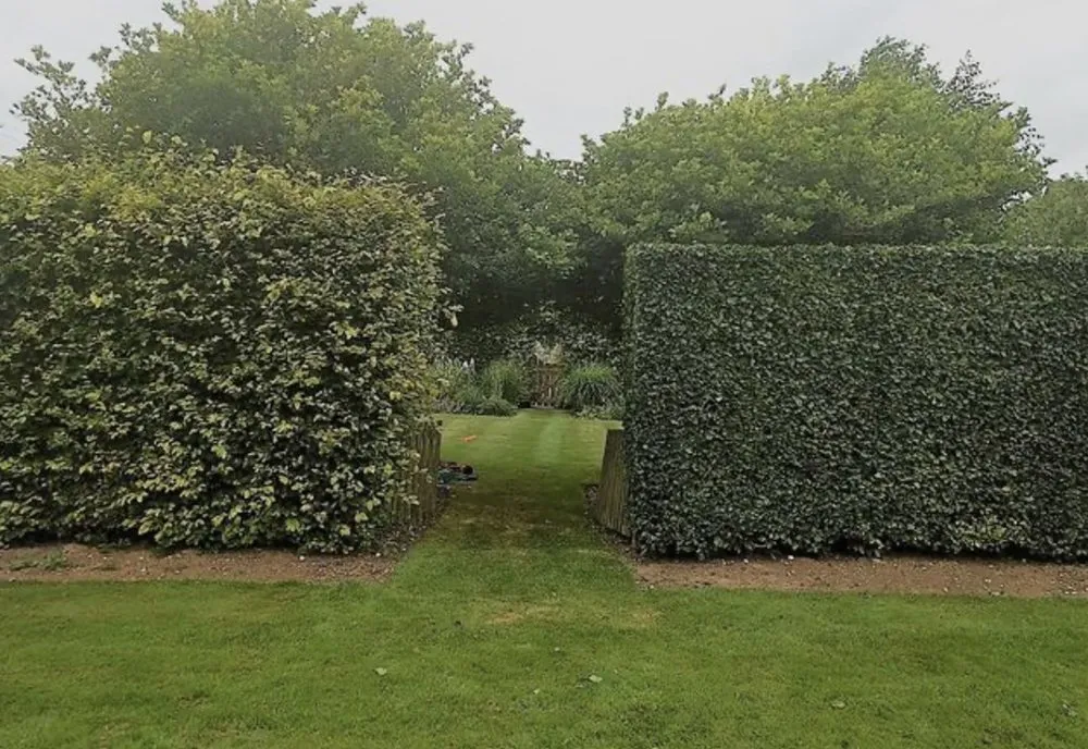 Affordable lawn care service in Warwick, RI by Pristine Lawn Care